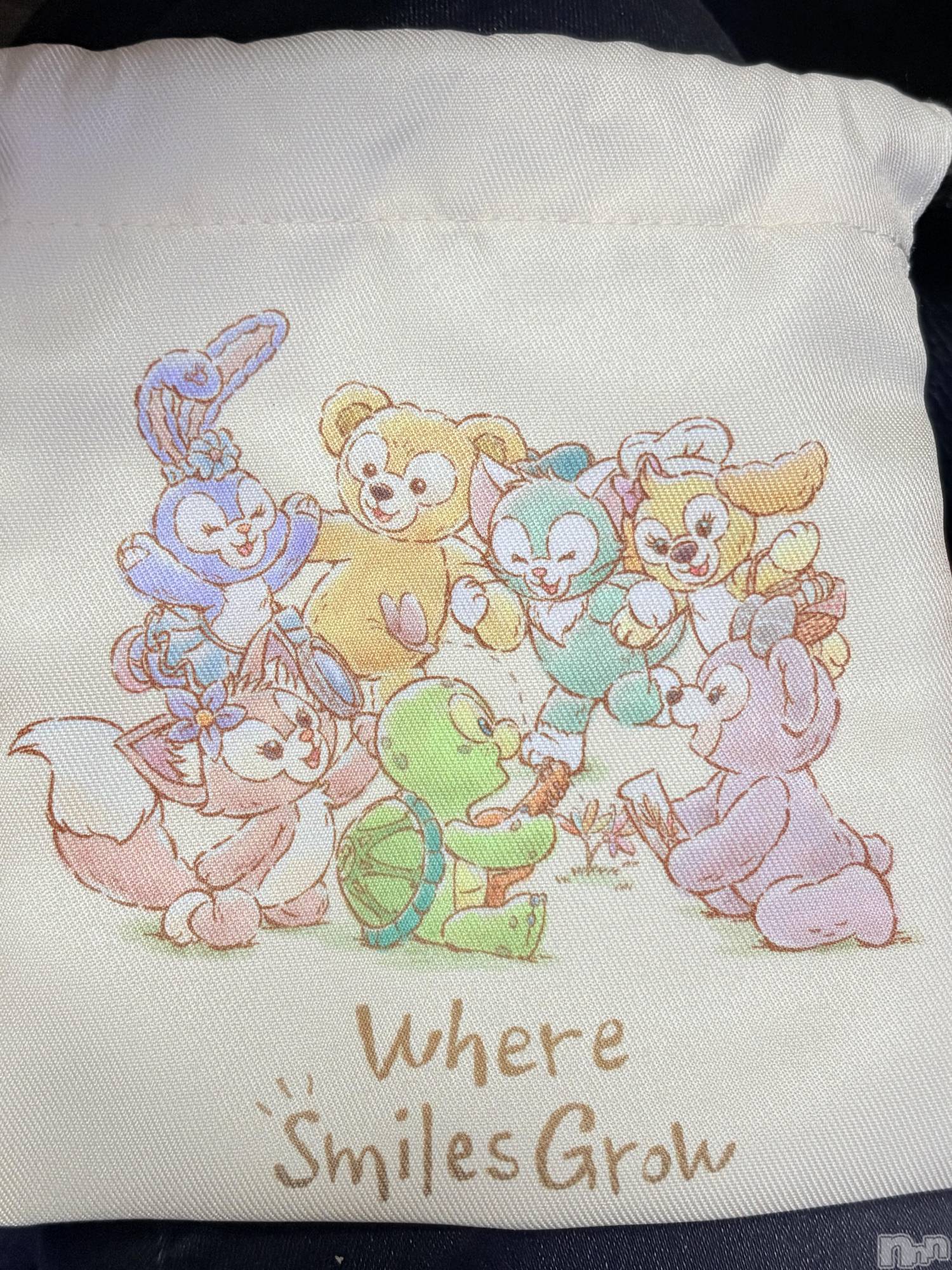 ��ˬ����Х��顦����֥���� �ץ���� ��ˬ(����� �ץ���� ����) ��2026ǯ2��5���̥�֥�����🐻️��