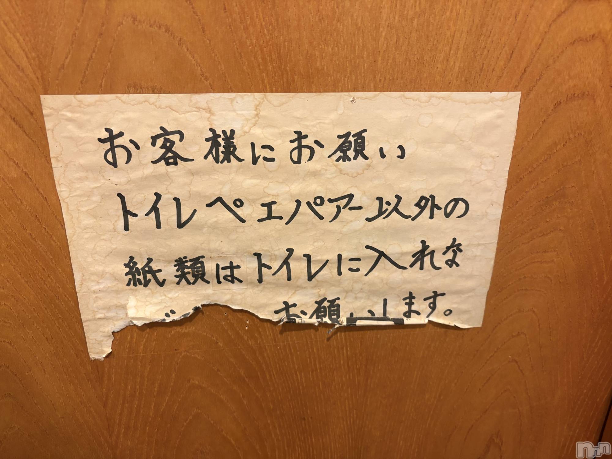 ��ˬ����Х��顦����֥���� �ץ���� ��ˬ(����� �ץ���� ����) ��2026ǯ2��8���̥�֥�����⋆⸜🧻⸝‍⋆��