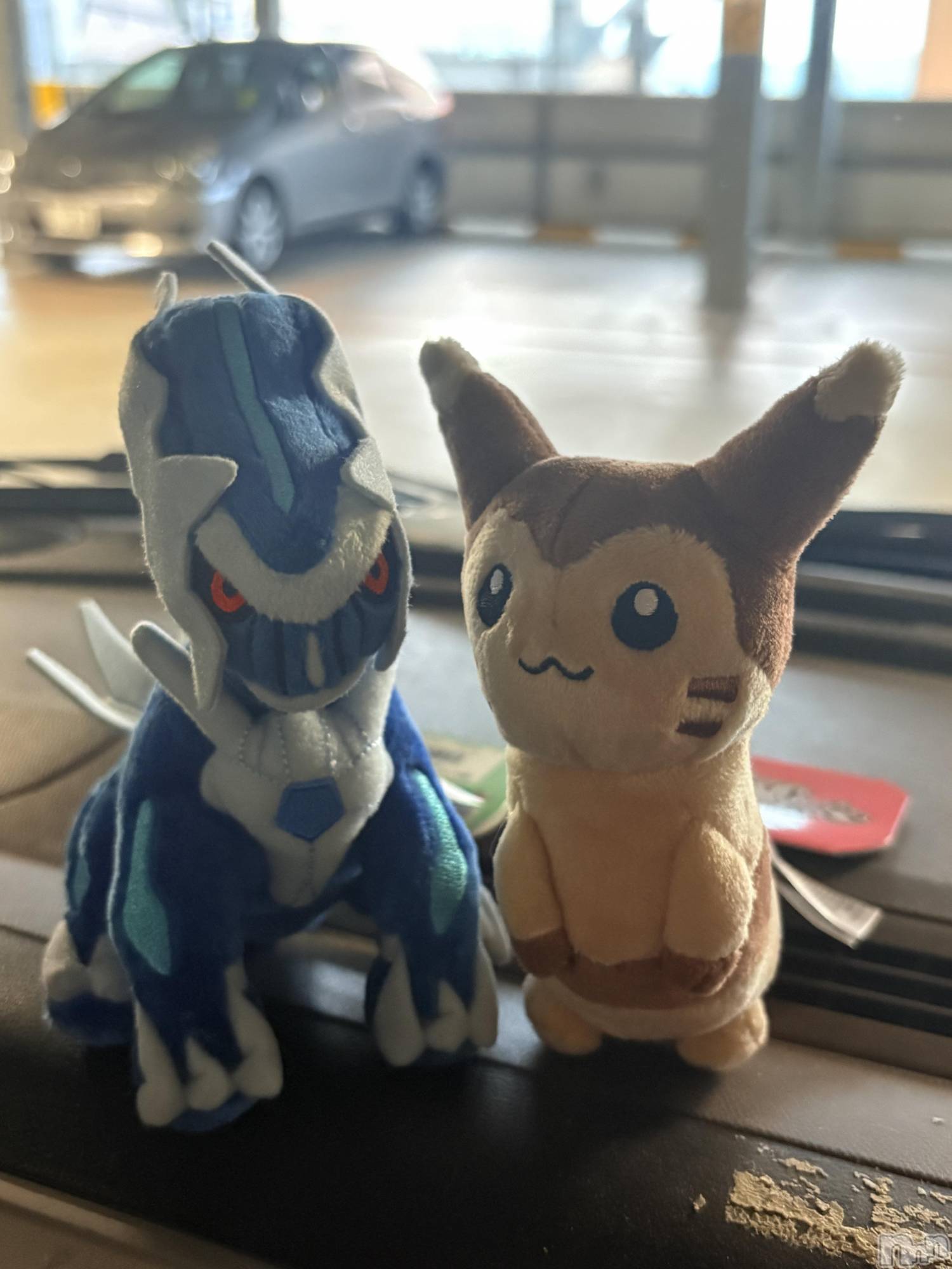 ��ˬ����Х��顦����֥���� �ץ���� ��ˬ(����� �ץ���� ����) ��2026ǯ2��10���̥�֥�����(��'��')╮=͟͟͞͞◒��