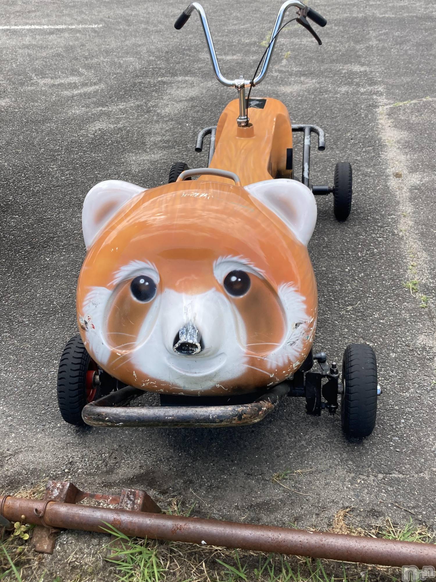 ��ˬ����Х��顦����֥���� �ץ���� ��ˬ(����� �ץ���� ����) ��2026ǯ2��10���̥�֥�����🚲��