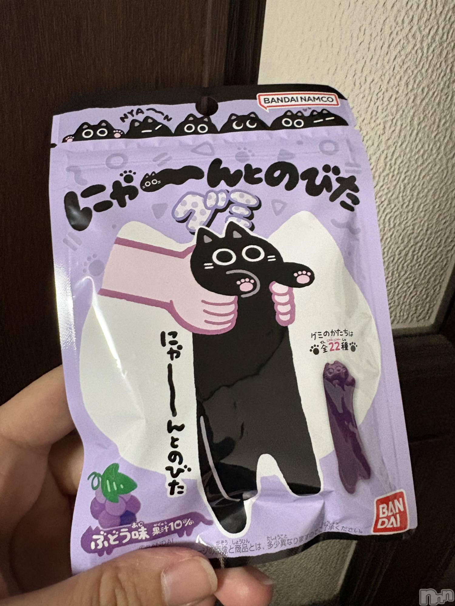 ��ˬ����Х��顦����֥���� �ץ���� ��ˬ(����� �ץ���� ����) ��2026ǯ2��15���̥�֥�����𓏲𓎨��