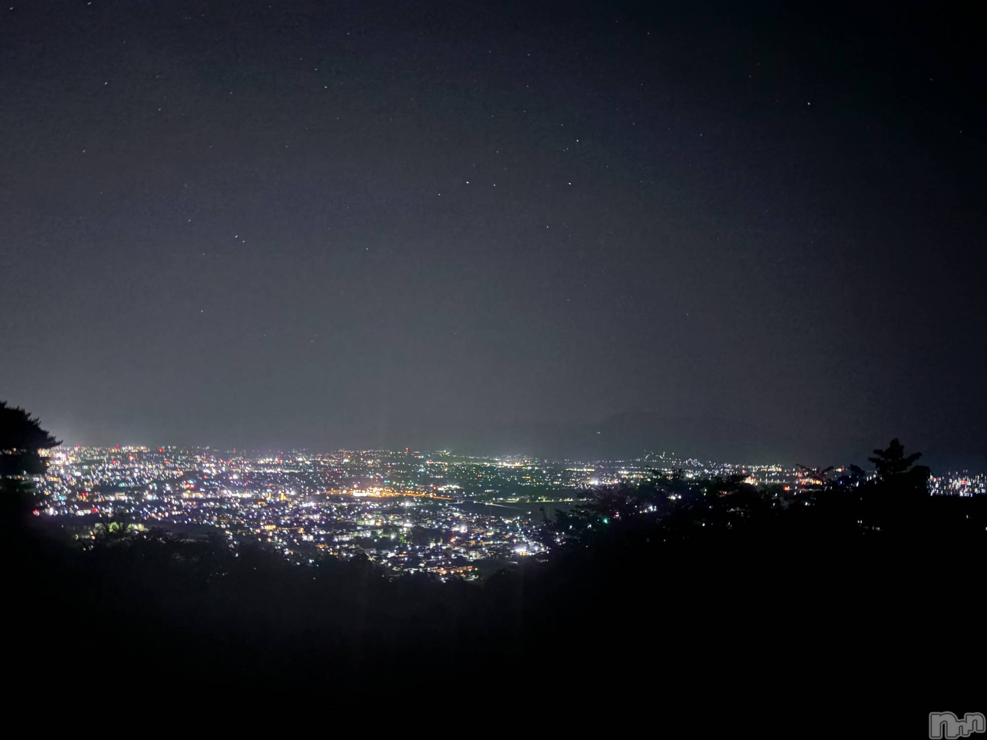 ��ˬ����Х��顦����֥���� �ץ���� ��ˬ(����� �ץ���� ����) ��2026ǯ2��16���̥�֥�����🌉��