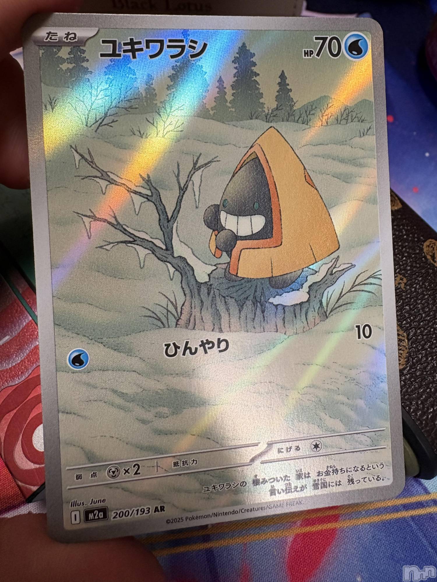 ��ˬ����Х��顦����֥���� �ץ���� ��ˬ(����� �ץ���� ����) ��2026ǯ2��25���̥�֥�����⚡️o'ᆺ'o⚡️��