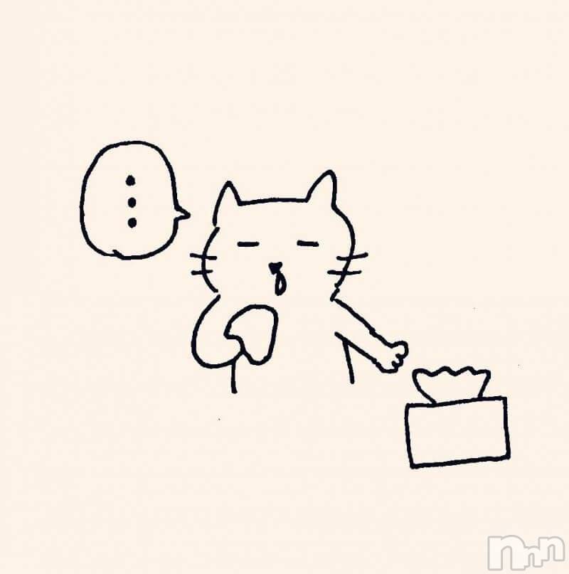 ��ˬ����Х��顦����֥���� �ץ���� ��ˬ(����� �ץ���� ����) ��2026ǯ3��4���̥�֥�����🌺��