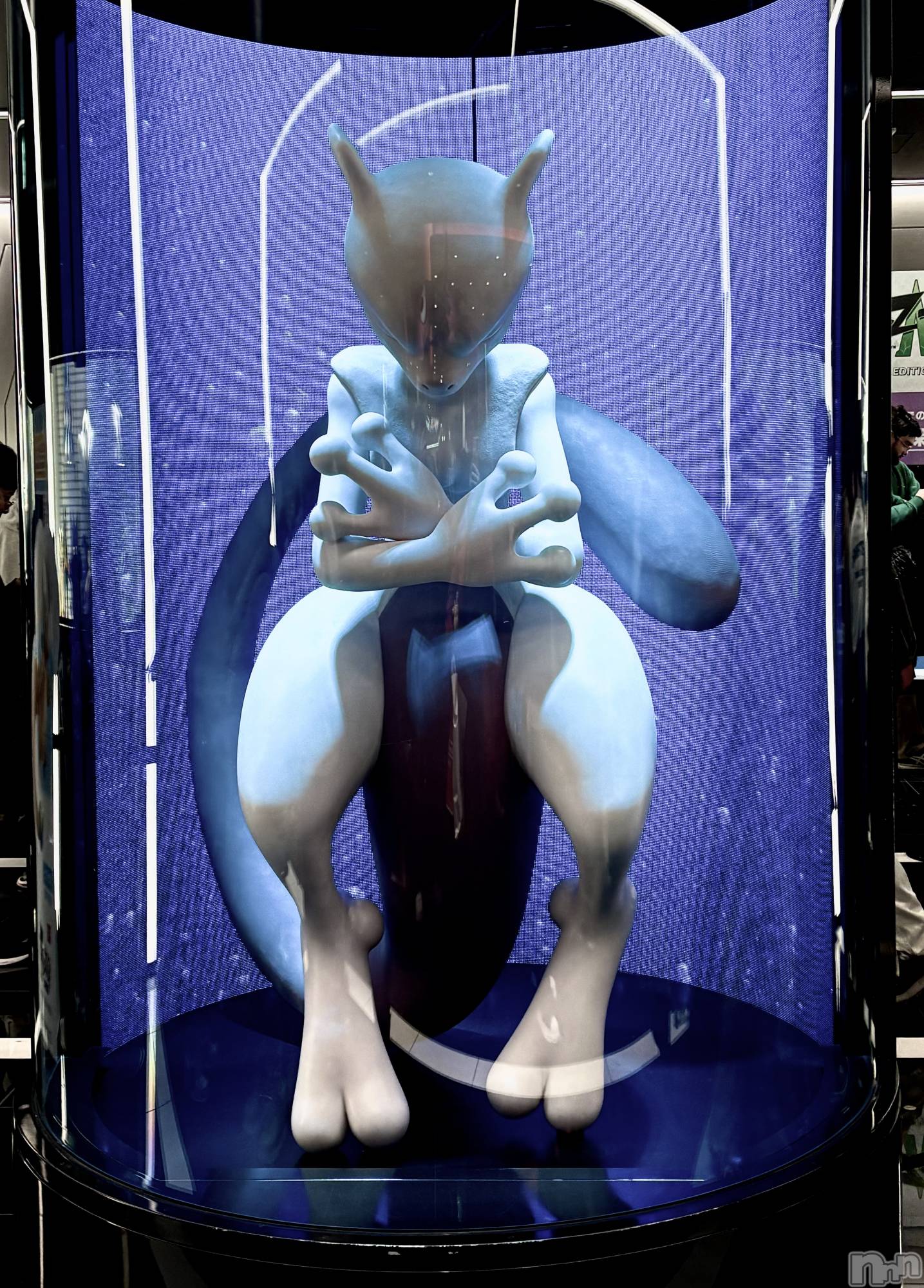 ��ˬ����Х��顦����֥���� �ץ���� ��ˬ(����� �ץ���� ����) ��2026ǯ3��6���̥�֥����֡�����