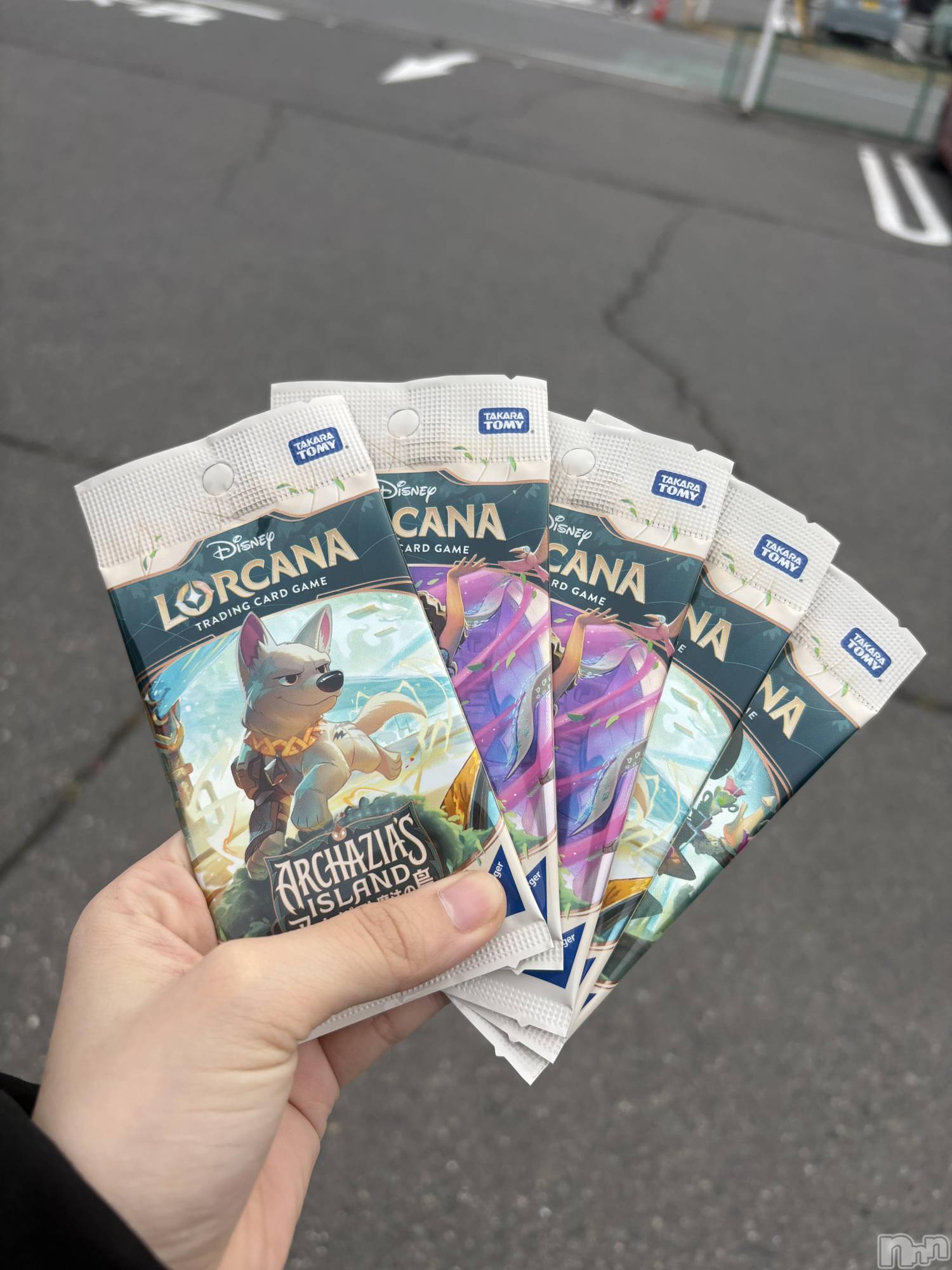 ��ˬ����Х��顦����֥���� �ץ���� ��ˬ(����� �ץ���� ����) ��2026ǯ3��23���̥�֥�����🃏��