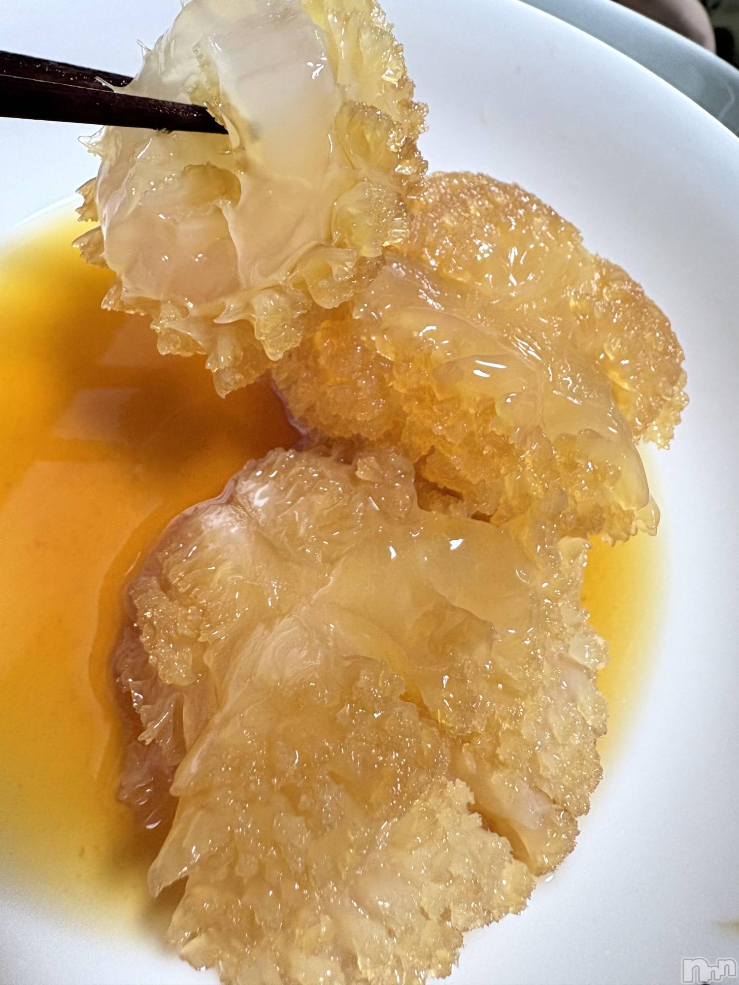 ��ˬ����Х��顦����֥���� �ץ���� ��ˬ(����� �ץ���� ����) ��2026ǯ3��30���̥�֥�����🪼🫧��