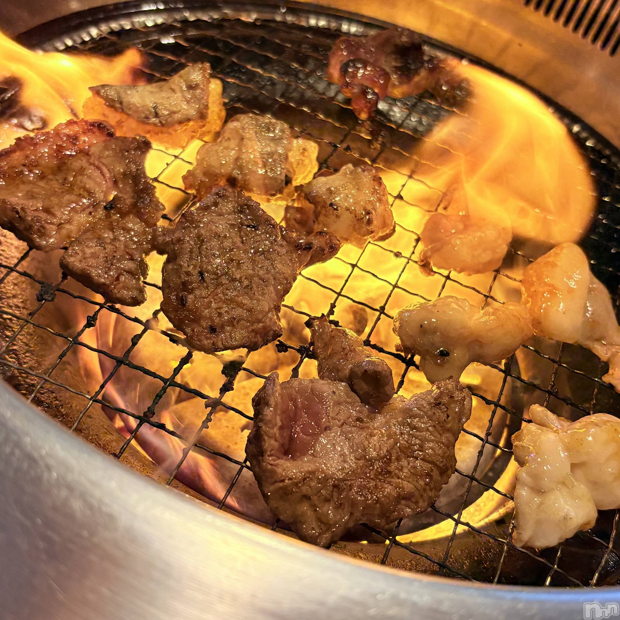 ��ˬ����Х��顦����֥���� �ץ���� ��ˬ(����� �ץ���� ����) ��2026ǯ4��18���̥�֥�����🩸��