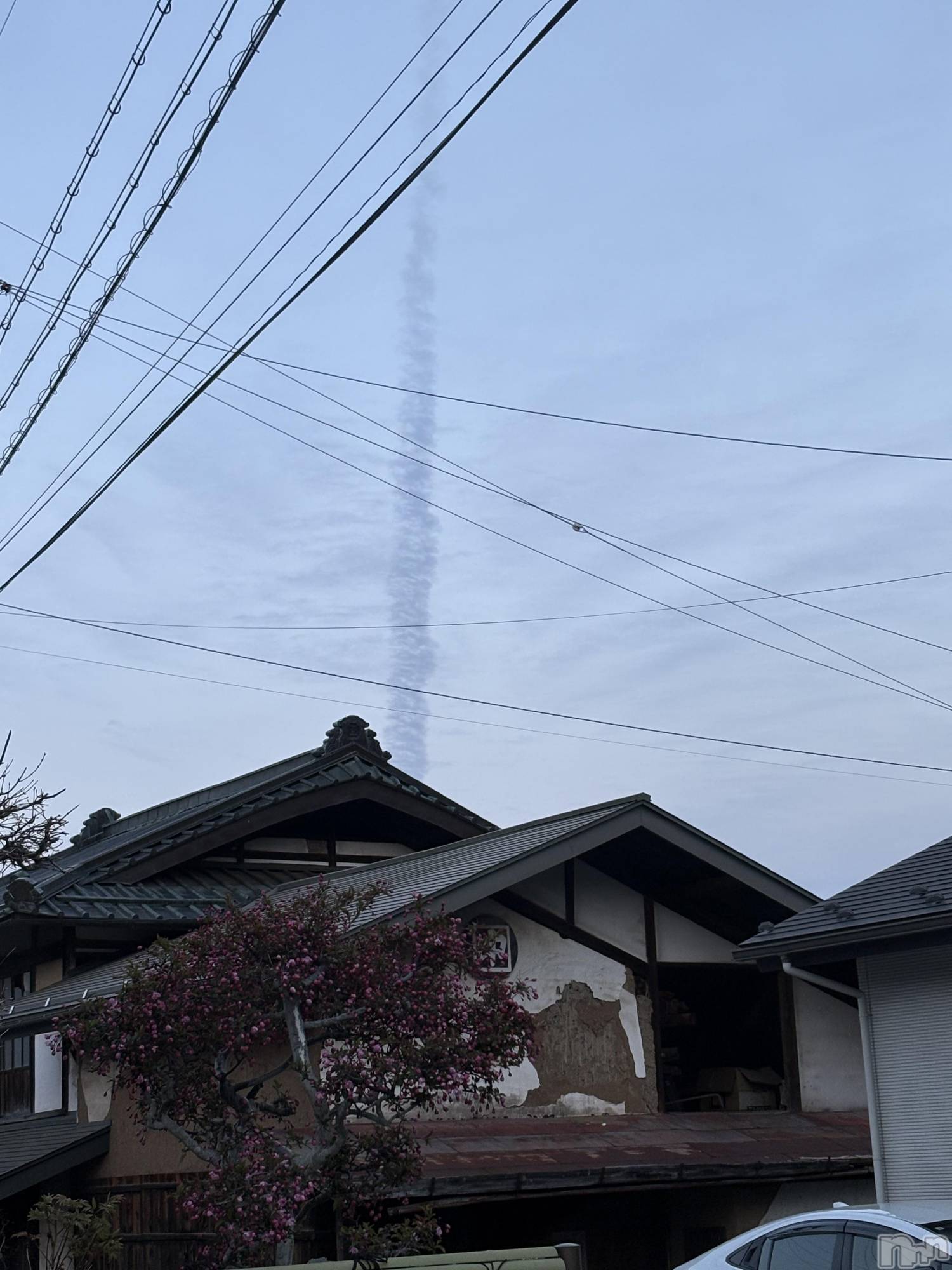 ��ˬ����Х��顦����֥���� �ץ���� ��ˬ(����� �ץ���� ����) ��2026ǯ4��23���̥�֥�����⛅️��