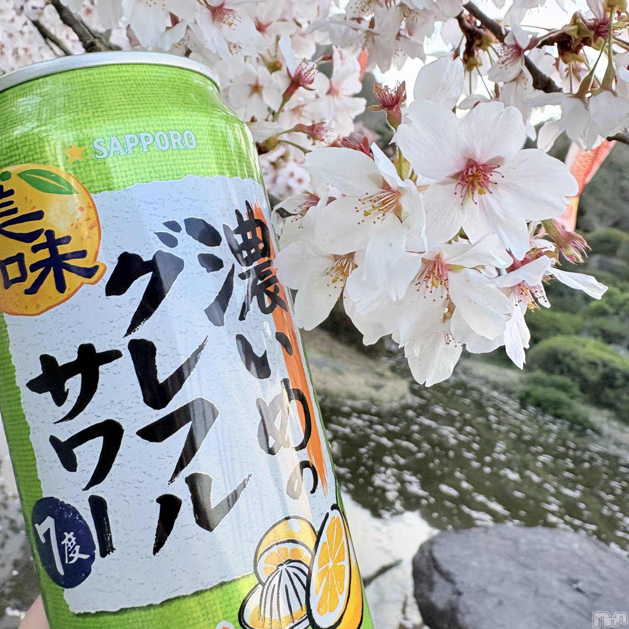 ��ˬ����Х��顦����֥���� �ץ���� ��ˬ(����� �ץ���� ����) ��2026ǯ4��25���̥�֥�����💗🌸🩷��