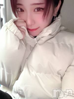 ��ˬ����Х��顦����֥���� �ץ���� ��ˬ(����� �ץ���� ����) ���� ��(20)��1��19���̥�֥�����🐻‍❄️��