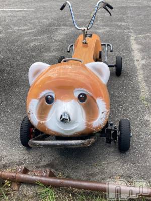 ��ˬ����Х��顦����֥���� �ץ���� ��ˬ(����� �ץ���� ����) ���� ��(20)��2��10���̥�֥�����🚲��