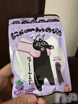 ��ˬ����Х��顦����֥���� �ץ���� ��ˬ(����� �ץ���� ����) ���� ��(20)��2��15���̥�֥�����𓏲𓎨��