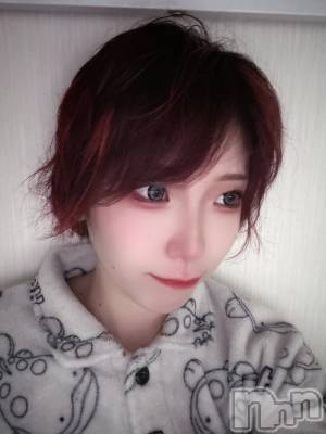 ��ˬ����Х��顦����֥���� �ץ���� ��ˬ(����� �ץ���� ����) ���� ��(20)��2��16���̥�֥�����♦️♦️♦️��