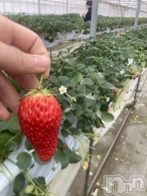 ��ˬ����Х��顦����֥���� �ץ���� ��ˬ(����� �ץ���� ����) ���� ��(20)��2��16���̥�֥�����🍓🍼��