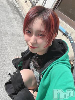 ��ˬ����Х��顦����֥���� �ץ���� ��ˬ(����� �ץ���� ����) ���� ��(20)��2��24���̥�֥�����☀️��