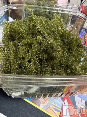 ��ˬ����Х��顦����֥���� �ץ���� ��ˬ(����� �ץ���� ����) ���� ��(20)��4��17���̥�֥�����🫶🏻🫶🏻🫶🏻🫶🏻🫶🏻��