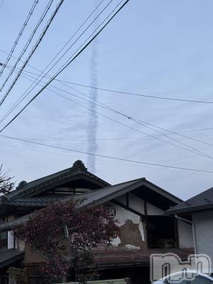 ��ˬ����Х��顦����֥���� �ץ���� ��ˬ(����� �ץ���� ����) ���� ��(20)��4��23���̥�֥�����⛅️��