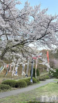 ��ˬ����Х��顦����֥���� �ץ���� ��ˬ(����� �ץ���� ����) ���� ��(20)��4��22���̥�֥�����🍒🍒��