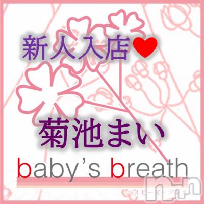 菊池まい【新人】(ヒミツ) スリーサイズB().W.H。新潟メンズエステ baby's breath(ベイビーズブレス)在籍。