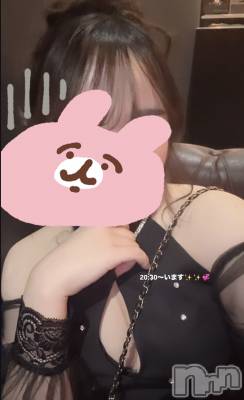 ��Į����Х��顦�����V-niigata-(�֥��˥�����) �����(20)��2��7���̥�֥�����2��7�� 23��29ʬ�Υ֥�����