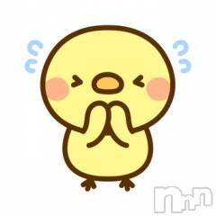 新潟デリヘルGRACE　新潟(グレース　ニイガタ) 【新人】月野（つきの）(26)の2月20日写メブログ「ごめんね」