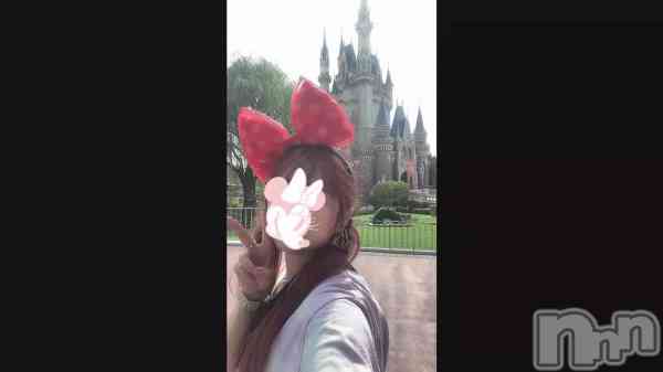 ��Paladin�Ķ���♥♥♥��