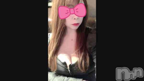 ����������Paladin�ĶȤ����♥��