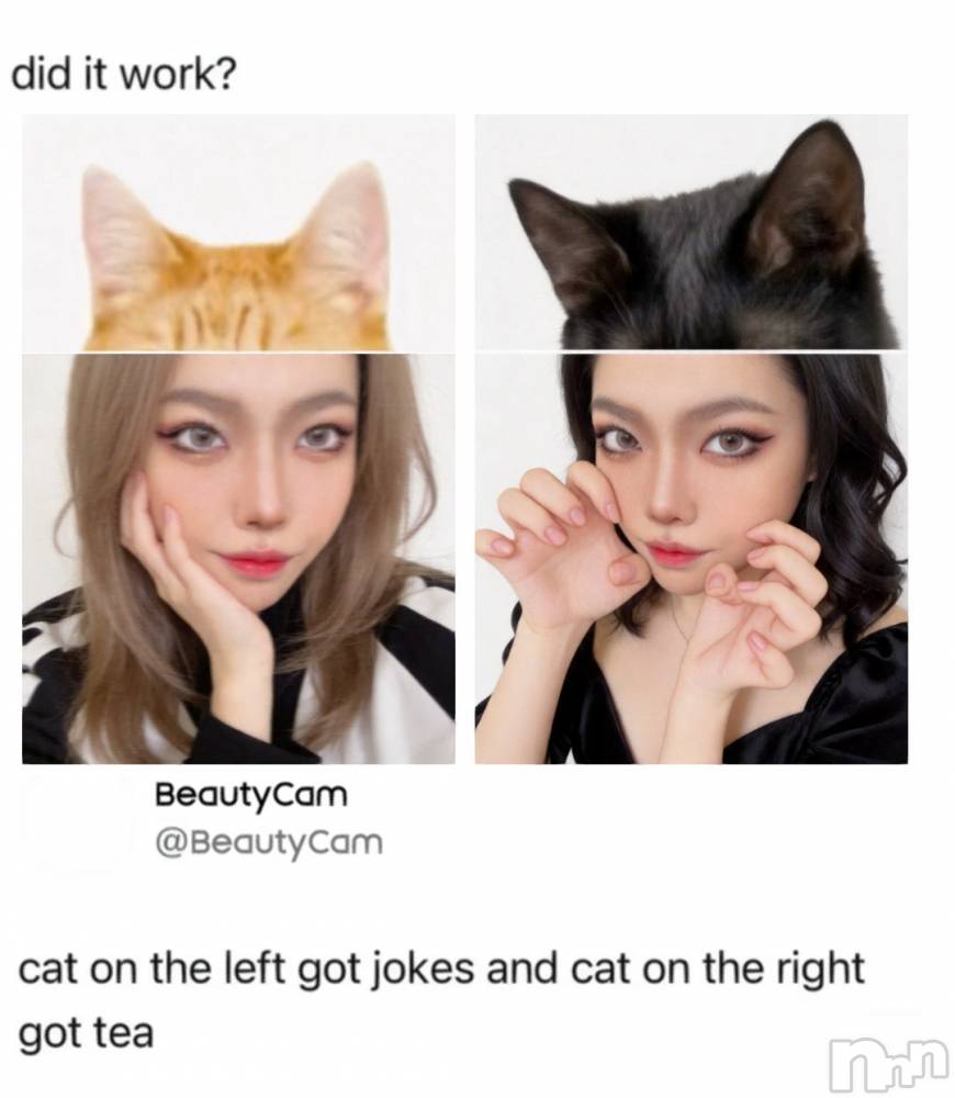 ��ë����Х��顦�����CLUB��Paladin(����֡��ѥ�ǥ���) �椦��4��21���̥�֥�����🐈🐈‍⬛��