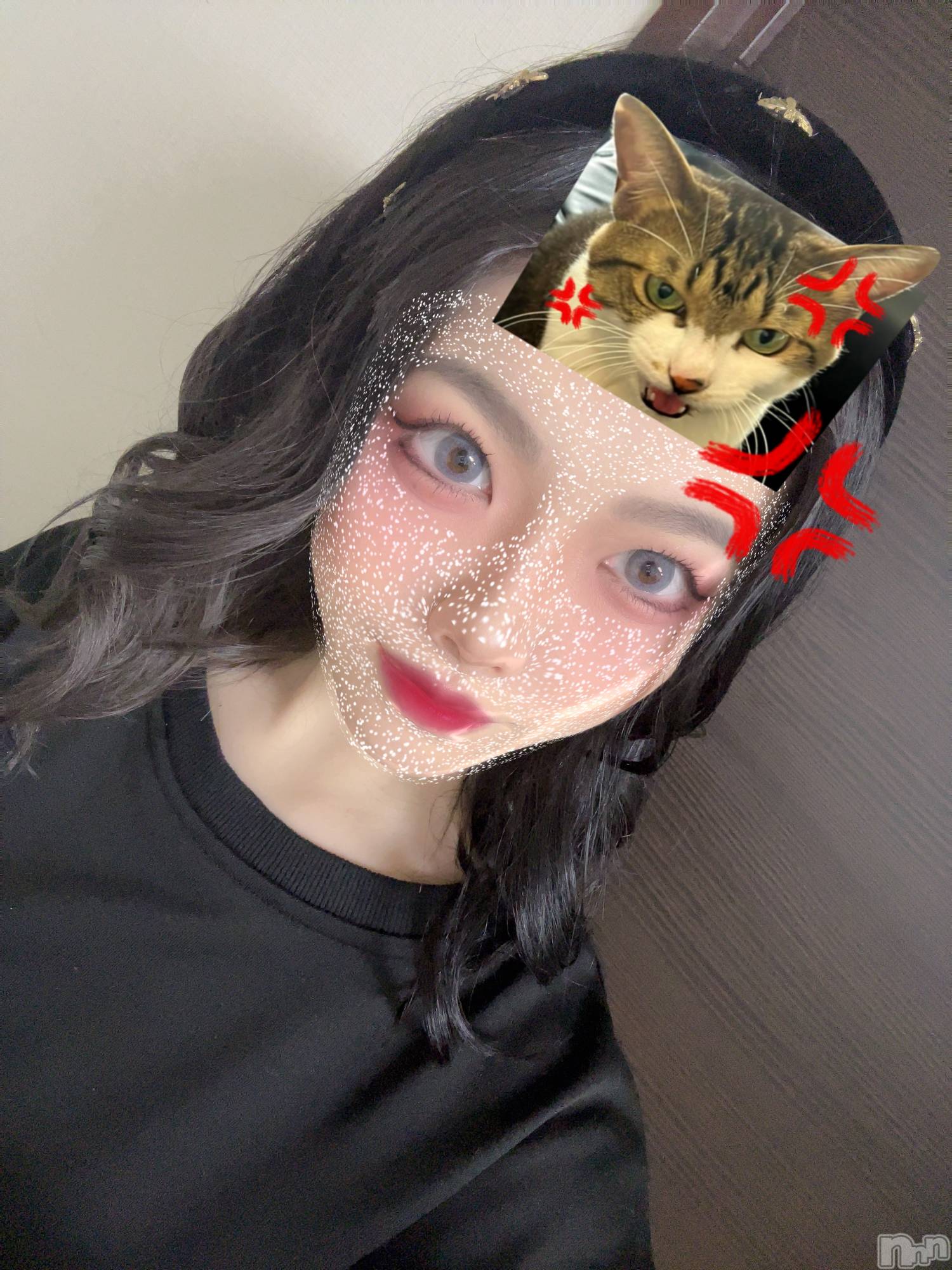 ��ë����Х��顦�����CLUB��Paladin(����֡��ѥ�ǥ���) ��2026ǯ4��14���̥�֥����ֺ������