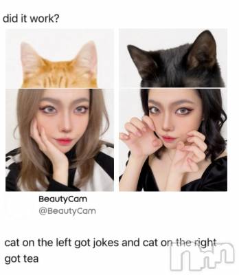 ��ë����Х��顦�����CLUB��Paladin(����֡��ѥ�ǥ���) �椦��4��21���̥�֥�����🐈🐈‍⬛��