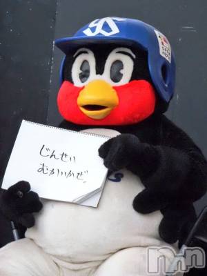 ��ë����Х��顦�����CLUB��Paladin(����֡��ѥ�ǥ���) �椦��4��22���̥�֥����֥ͥ��ڤ��