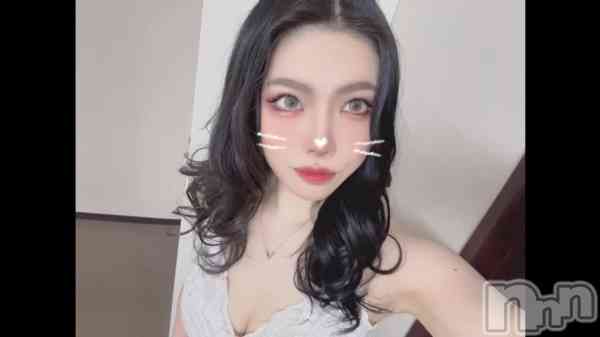 ��🍼🤍🕊🦢��