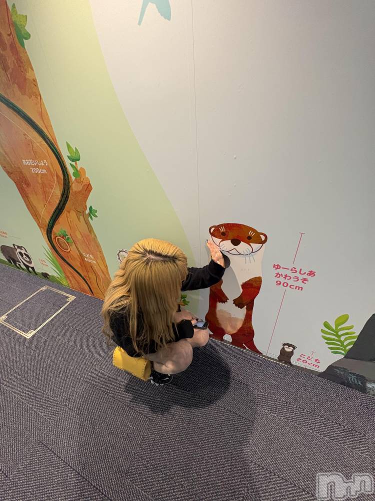 ����������ʥå��������륺�С����饪���ϥ��ܡ���bar���ͻ���(���饪���ϥ��ܡ���С��ӥ��󥷥ޥ�) �������3��19���̥�֥�����ʡ��ι�ԡ�