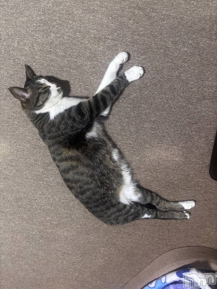 ����������ʥå��������륺�С����饪���ϥ��ܡ���bar���ͻ���(���饪���ϥ��ܡ���С��ӥ��󥷥ޥ�) �������4��13���̥�֥���������Happyhour!!��