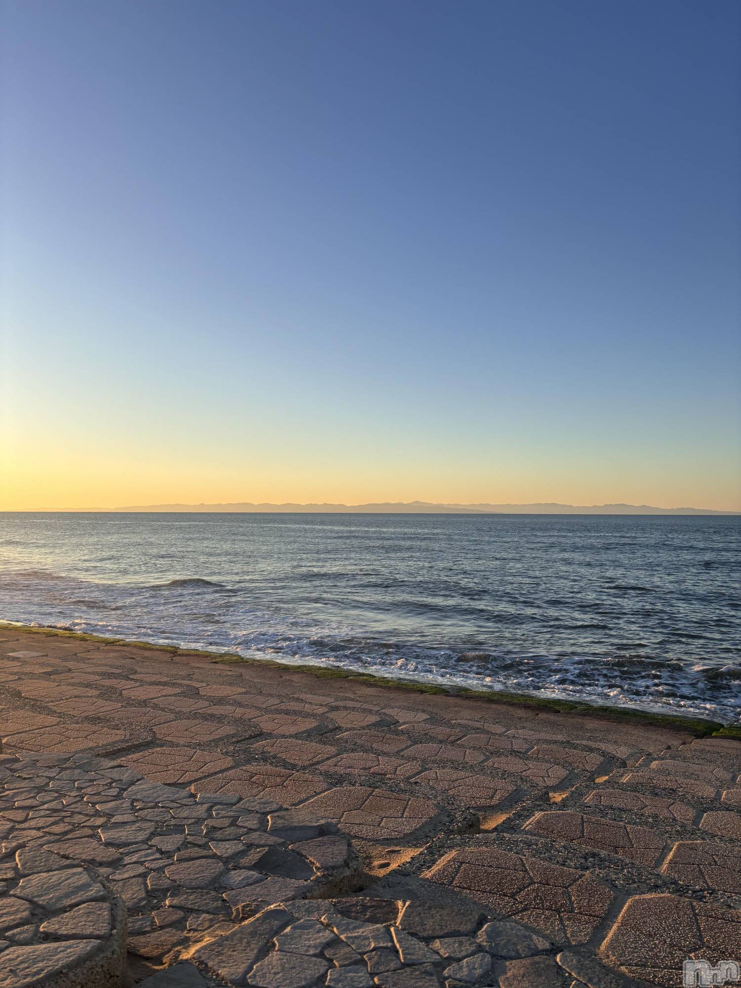 ����������ʥå��������륺�С����饪���ϥ��ܡ���bar���ͻ���(���饪���ϥ��ܡ���С��ӥ��󥷥ޥ�) ��2026ǯ3��6���̥�֥�����3��6�� 17��03ʬ�Υ֥�����