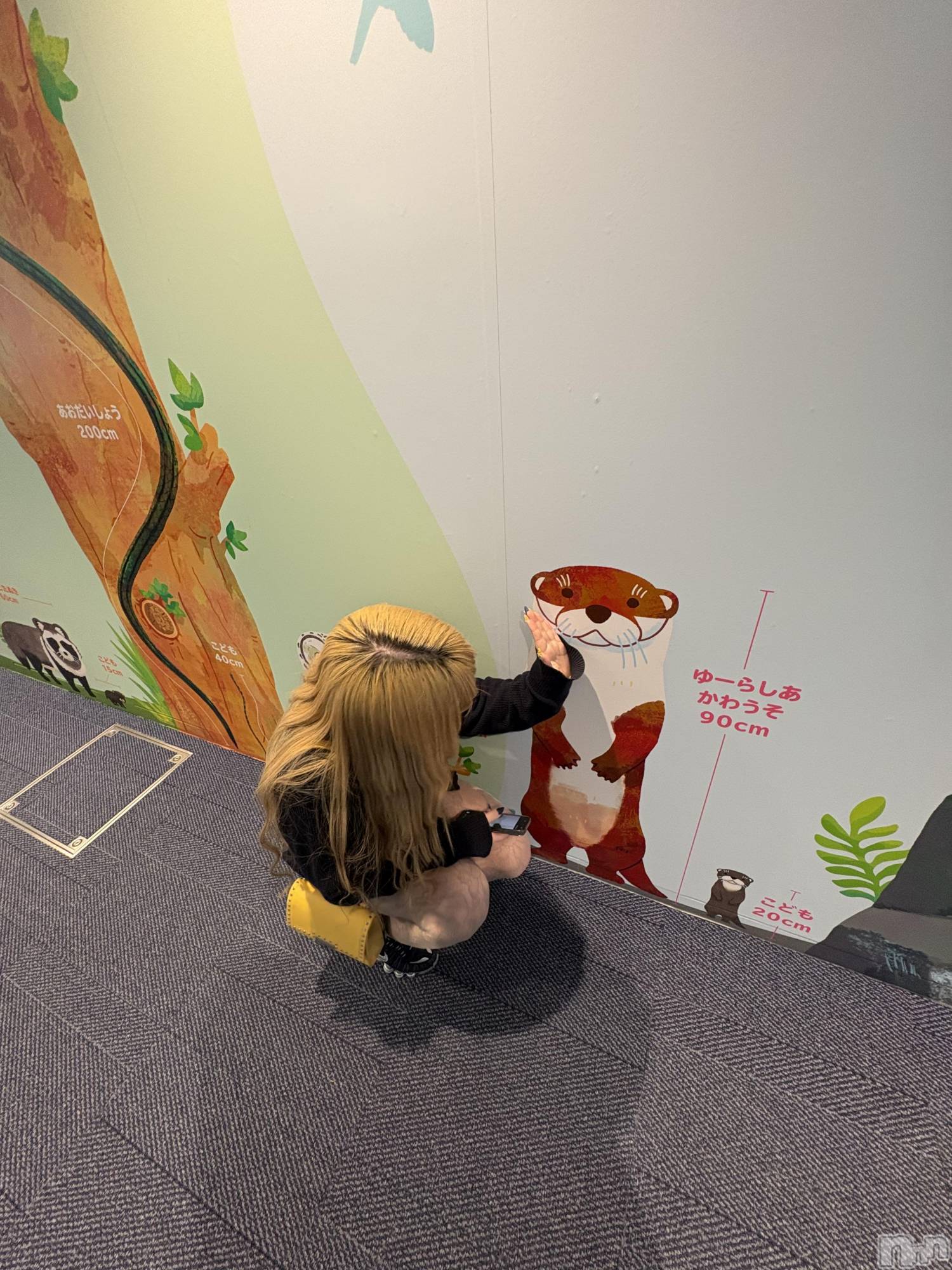 ����������ʥå��������륺�С����饪���ϥ��ܡ���bar���ͻ���(���饪���ϥ��ܡ���С��ӥ��󥷥ޥ�) ��2026ǯ3��19���̥�֥�����ʡ��ι�ԡ�