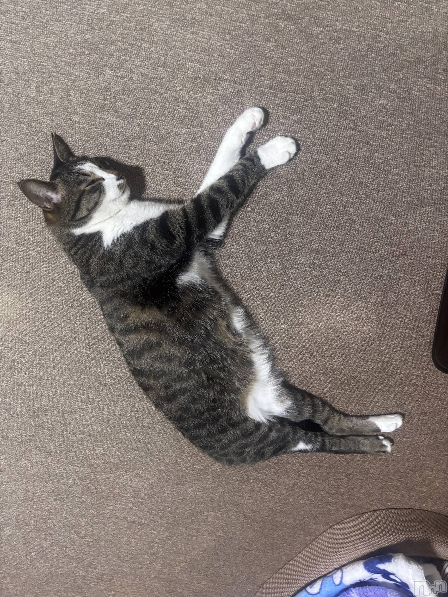 ����������ʥå��������륺�С����饪���ϥ��ܡ���bar���ͻ���(���饪���ϥ��ܡ���С��ӥ��󥷥ޥ�) ��2026ǯ4��13���̥�֥���������Happyhour!!��