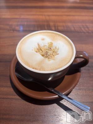 ����������ʥå��������륺�С����饪���ϥ��ܡ���bar���ͻ���(���饪���ϥ��ܡ���С��ӥ��󥷥ޥ�) �������2��13���̥�֥����ֶ���������