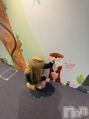 ����������ʥå��������륺�С����饪���ϥ��ܡ���bar���ͻ���(���饪���ϥ��ܡ���С��ӥ��󥷥ޥ�) �������3��19���̥�֥�����ʡ��ι�ԡ�