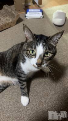 ����������ʥå��������륺�С����饪���ϥ��ܡ���bar���ͻ���(���饪���ϥ��ܡ���С��ӥ��󥷥ޥ�) �������3��29���̥�֥����֤ˤ�󤳡�