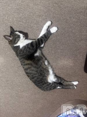 ����������ʥå��������륺�С����饪���ϥ��ܡ���bar���ͻ���(���饪���ϥ��ܡ���С��ӥ��󥷥ޥ�) �������4��13���̥�֥���������Happyhour!!��