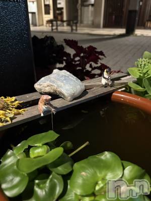 ����������ʥå��������륺�С����饪���ϥ��ܡ���bar���ͻ���(���饪���ϥ��ܡ���С��ӥ��󥷥ޥ�) �������6��29���̥�֥����������ϥåԡ����🌟��