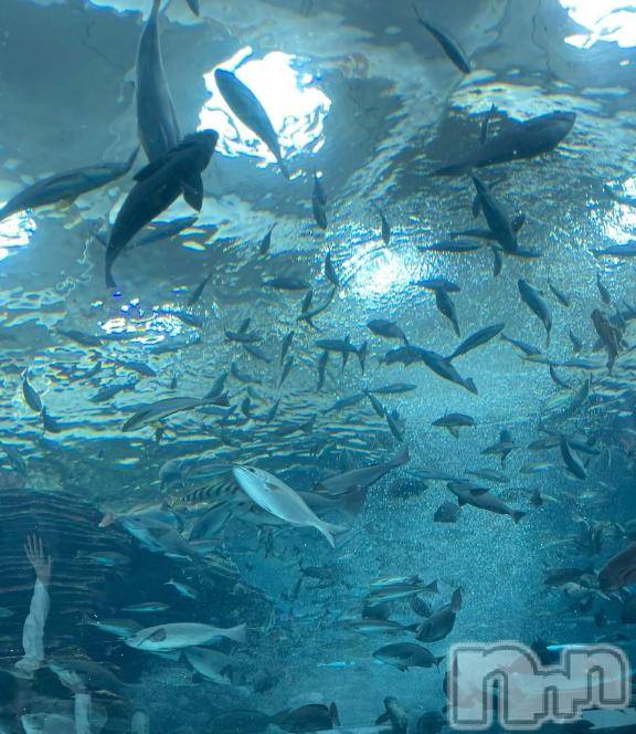 新潟デリヘルBIANCA～主人の知らない私～新潟店(ビアンカニイガタテン)紫ノ宮(しのみや)　るい(30)の2026年4月13日写メブログ「お礼🤝」