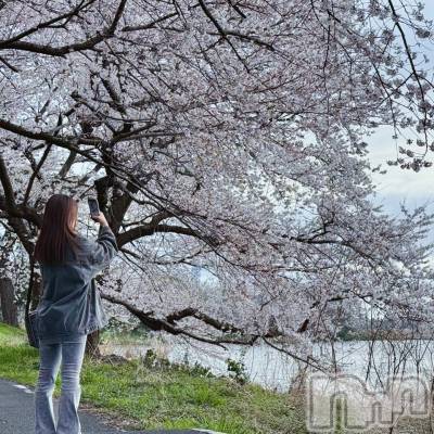 ��Į����Х��顦�����V-niigata-(�֥��˥�����) �ͤ���4��7���̥�֥����ֺ��Ȥͤ�🌸��