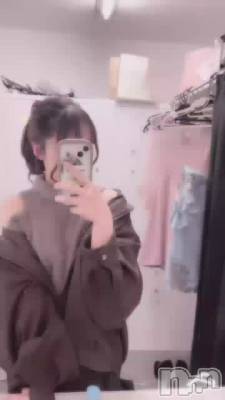 �����Τͤ������🍒⋆꙳