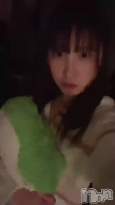 🐊🧸🎀