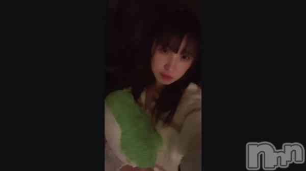 ��🐊🧸🎀��