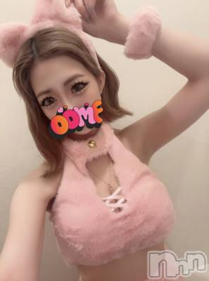 にゃんにゃんDay🐾💕