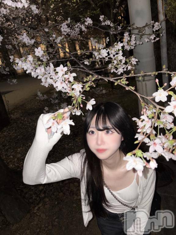 新潟ソープ新潟バニーコレクション(ニイガタバニーコレクション)ツナ(25)の2026年4月15日写メブログ「明日から🦋」